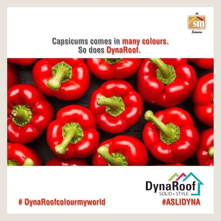 DynaRoofIndia's tweet photo. Capsicums comes in many colours. 
So does DynaRoof.

#dynaroof #ASLIDYNA #DynaRoofcolourmyworld #weatherproofroof #roofing #roofingcompany  #housing #northeast #construction #SMGroup #Assam #anticorrosionsheets #metalroofing #roofers #roofsquad #theroofsquad #safety #ecofriendly https://t.co/jAtuhk2yDf