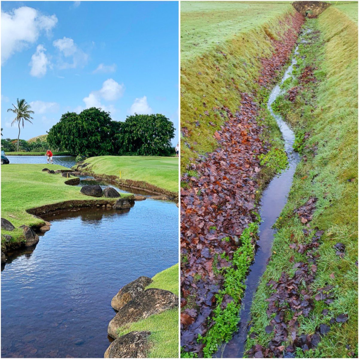 Playing golf in Mauritius Vs Playing golf in the UK this December! 🤣🥵🥶