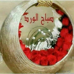 Samera6X's tweet photo. https://t.co/CZxAP5dKZs