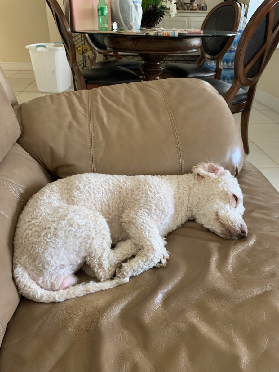 eddsliving's tweet photo. How comfortable do you think i am from 1-10 https://t.co/KCRkq3CL6L