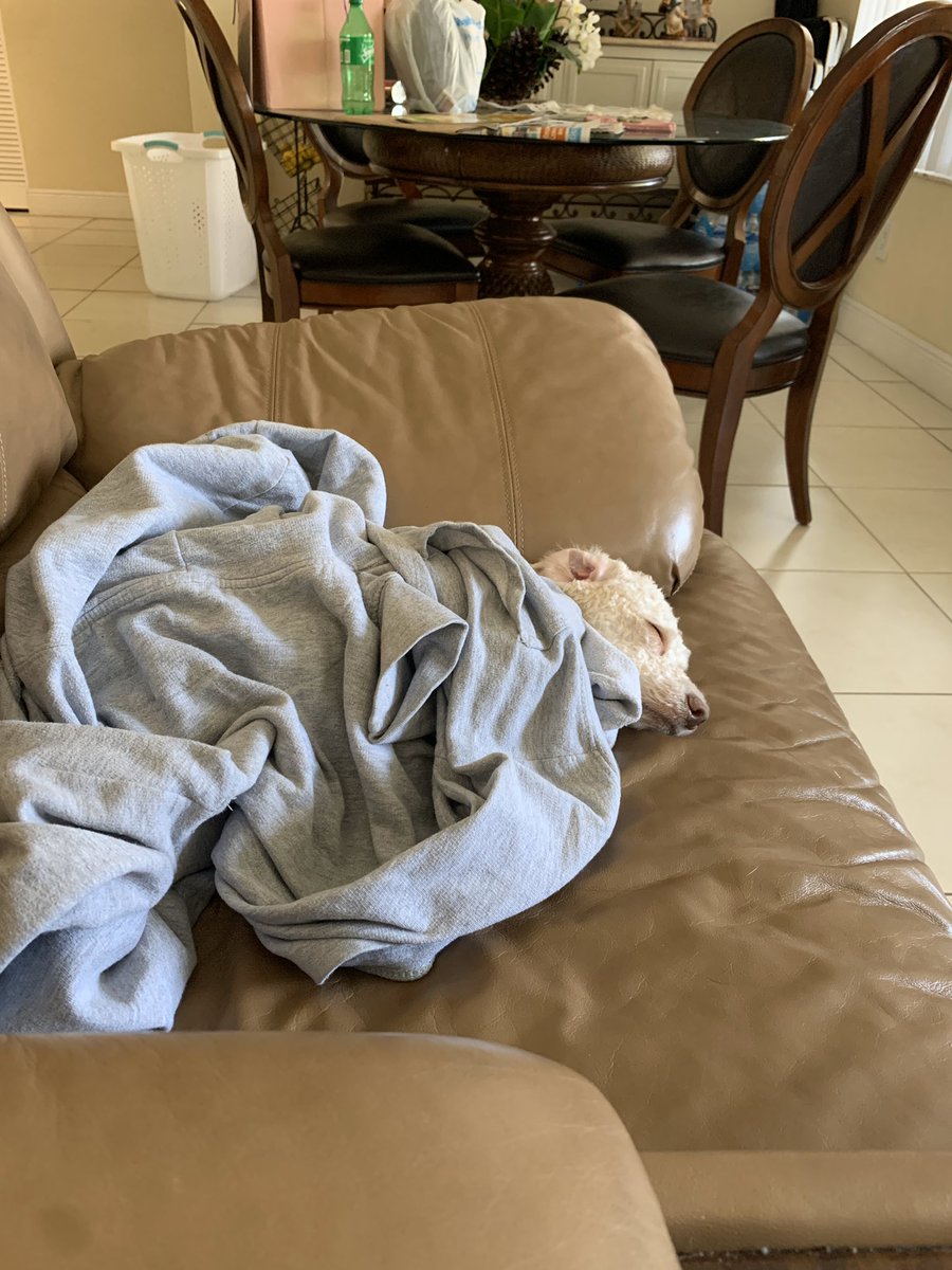 eddsliving's tweet photo. How comfortable do you think i am from 1-10 https://t.co/KCRkq3CL6L