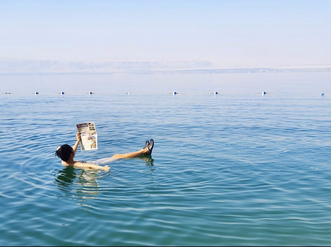 @talattegirl getting some reading done 📖