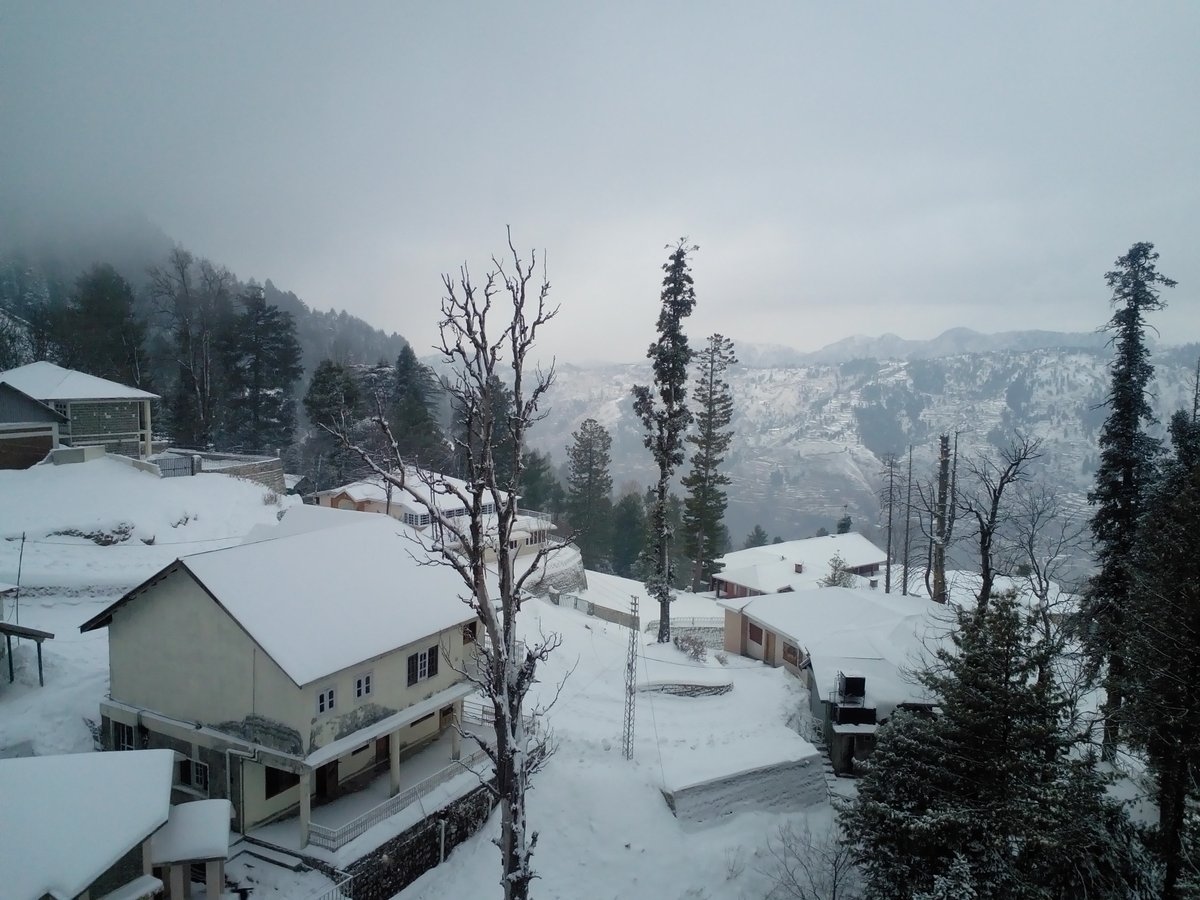 tripkardotcom's tweet photo. Murree snow-falling view in 2020......
Switzerland of Asia.....

#winter #snowfallinmg #murree #Murreemallroad #GPO #travel #Tripkar #hotelreservation https://t.co/kuJPGBsVWG