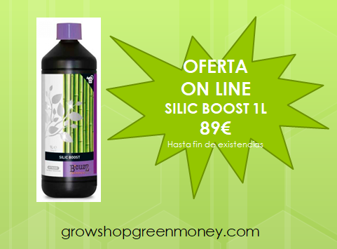 GreenMoneyGrowS's tweet photo. SUPEROFERTA!!! Visita nuestra página web!!
https://t.co/xo2WP7Yo8M
#cannabis #seed #greenmoney #bloggreenmoney #growshop #growshopgranada #cultivavida #cultivaconprofesionales https://t.co/a9aVrRYN2L