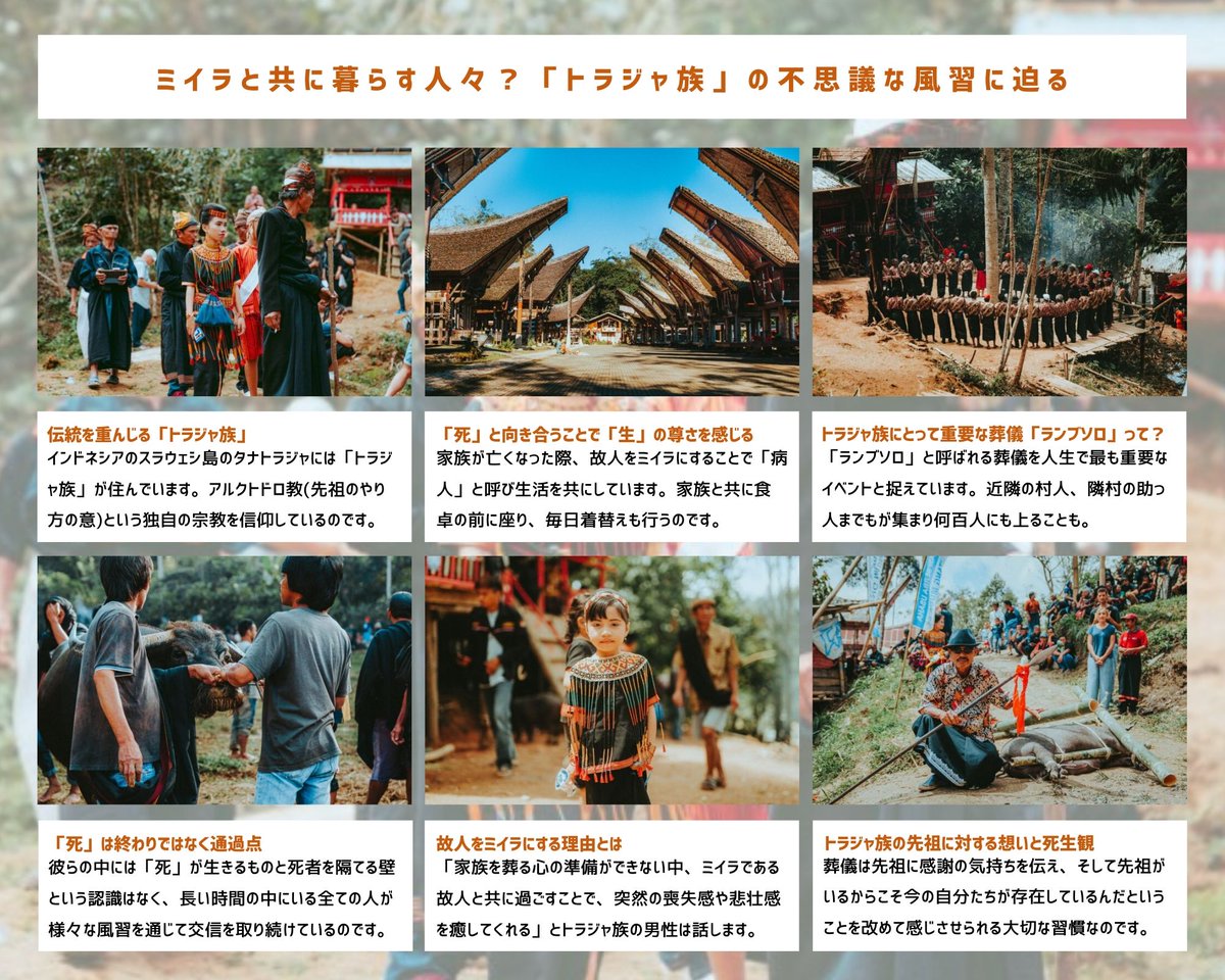 Tabippo ミイラと共に暮らす人々 トラジャ族 の不思議な風習に迫る T Co Cvvqgftkay T Co 5vr4phgifm Twitter