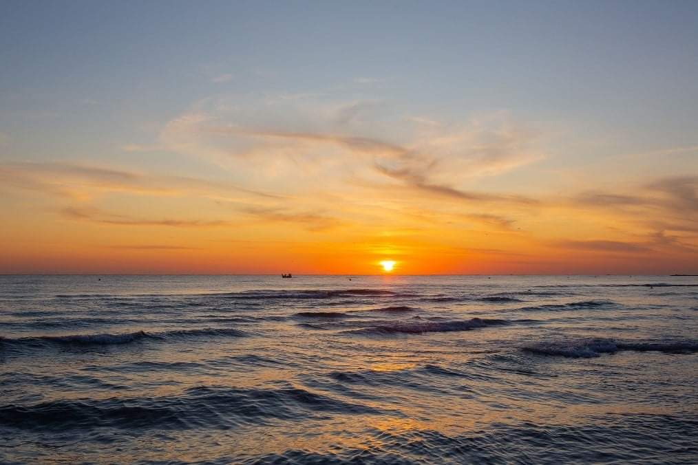 🌅 Al Vivosa siamo abituati ai saluti, soprattutto quelli che durano il tempo di un tramonto…
Addio 2019, siamo già pronti per il 2020! 🎉

🇬🇧At Vivosa we are used to greetings, especially in the sunset times ...
Goodbye 2019, we are ready for 2020!

#vivosaresort #weareinpuglia