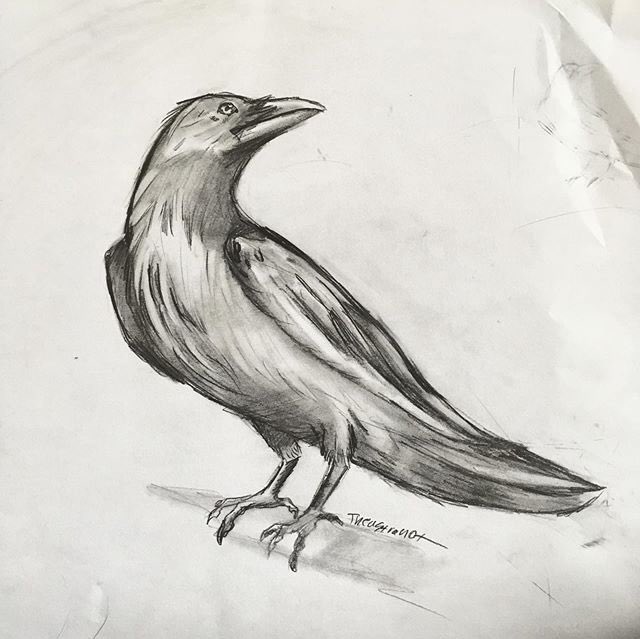 The_Astro_not's tweet photo. “I looked all around for the dumbass, but the dumbass was me all along..”
.
.
Lovely quote from @JPaigetheWriter about myself 
#crow #raven #art #artist https://t.co/Th37khrxUY