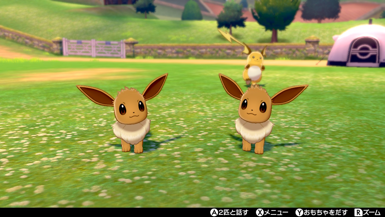 Omikio もふもふ天国 エーフィ ブラッキー ニンフィア でイーブイ進化系揃うけど このもふもふも堪能したい Nintendo ポケモン剣盾