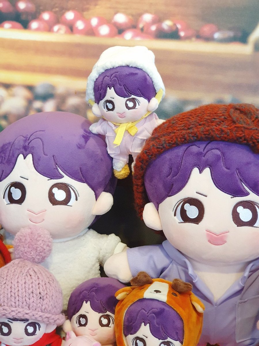 퐁콩이들 모르게 등산한 알콩온탑

#알콩 #퐁콩 #달콩