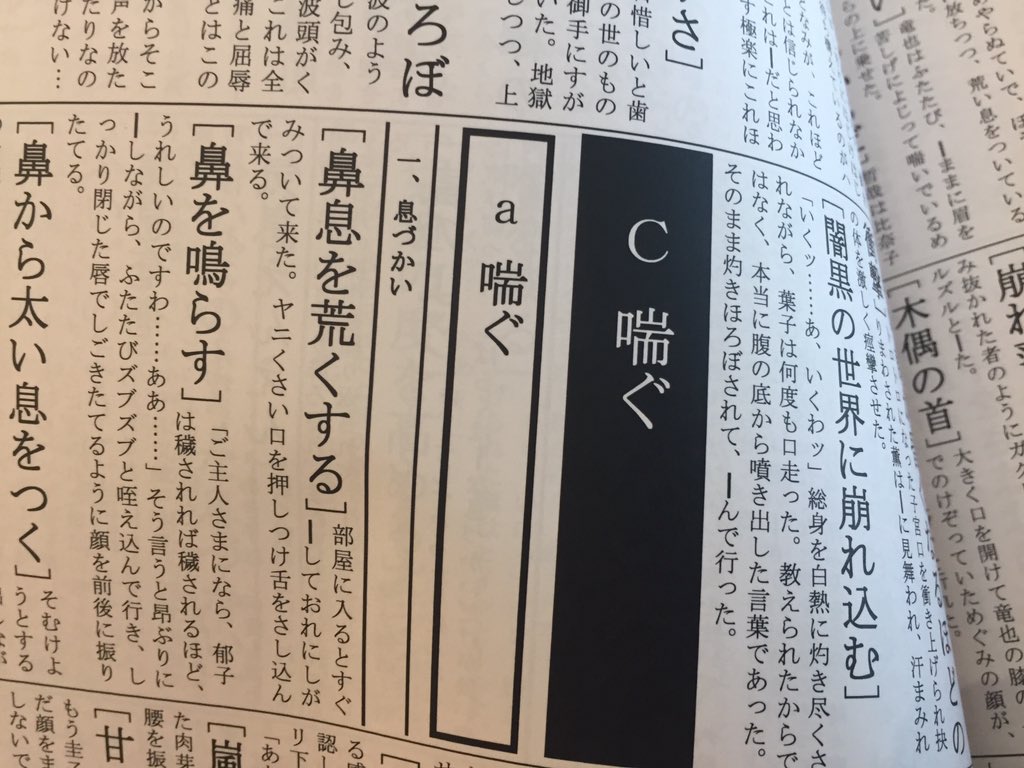 「どうもー、官能隠語辞典でーす!」
017「官能隠語辞典…? (パラパラ)これはすげえ、一冊ください」
ちぐ単、闇への供物編。
350ページ越え超大作。
3200円したけどしょうがないよネ。
印刷所、私と同じポプルスでワロタ。 