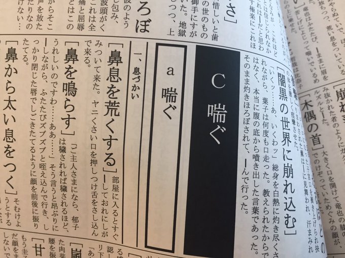 「どうもー、官能隠語辞典でーす!」
017「官能隠語辞典…? (パラパラ)これはすげえ、一冊ください」
ちぐ単、闇への供物編。
350ページ越え超大作。
3200円したけどしょうがないよネ。
印刷所、私と同じポプルスでワロタ。 