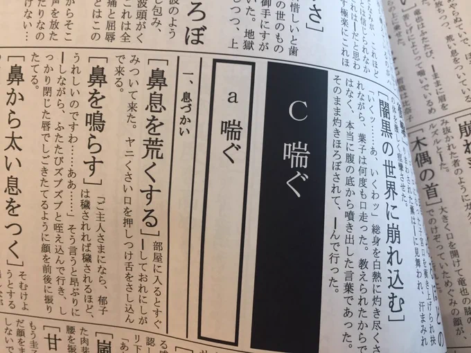 「どうもー、官能隠語辞典でーす!」
017「官能隠語辞典…? (パラパラ)これはすげえ、一冊ください」
ちぐ単、闇への供物編。
350ページ越え超大作。
3200円したけどしょうがないよネ。
印刷所、私と同じポプルスでワロタ。 
