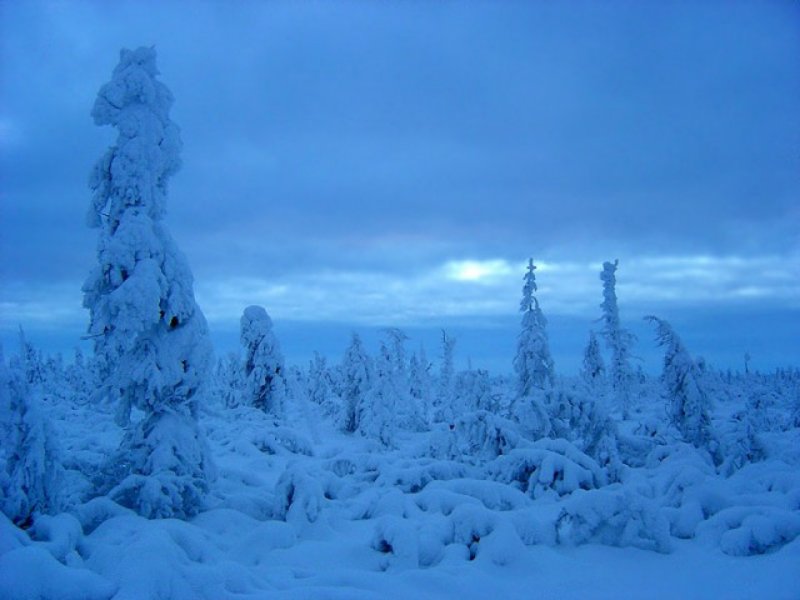 вечная мерзлота арктика. самый холодный город в мире оймякон. морозный пейзаж. вечные морозы. вечные морозы.