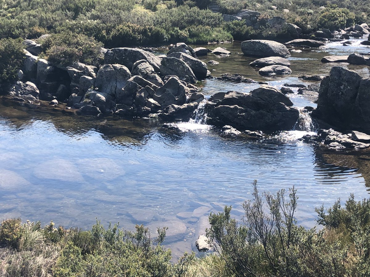 I’m 23 km into a 27km day. Undoubted highlight so far has been Valentine’s Hut. What a sweetheart! Best emergency shelter I’ve seen on the  #AAWT and amazing swimming hole less than 100m walk down the hill