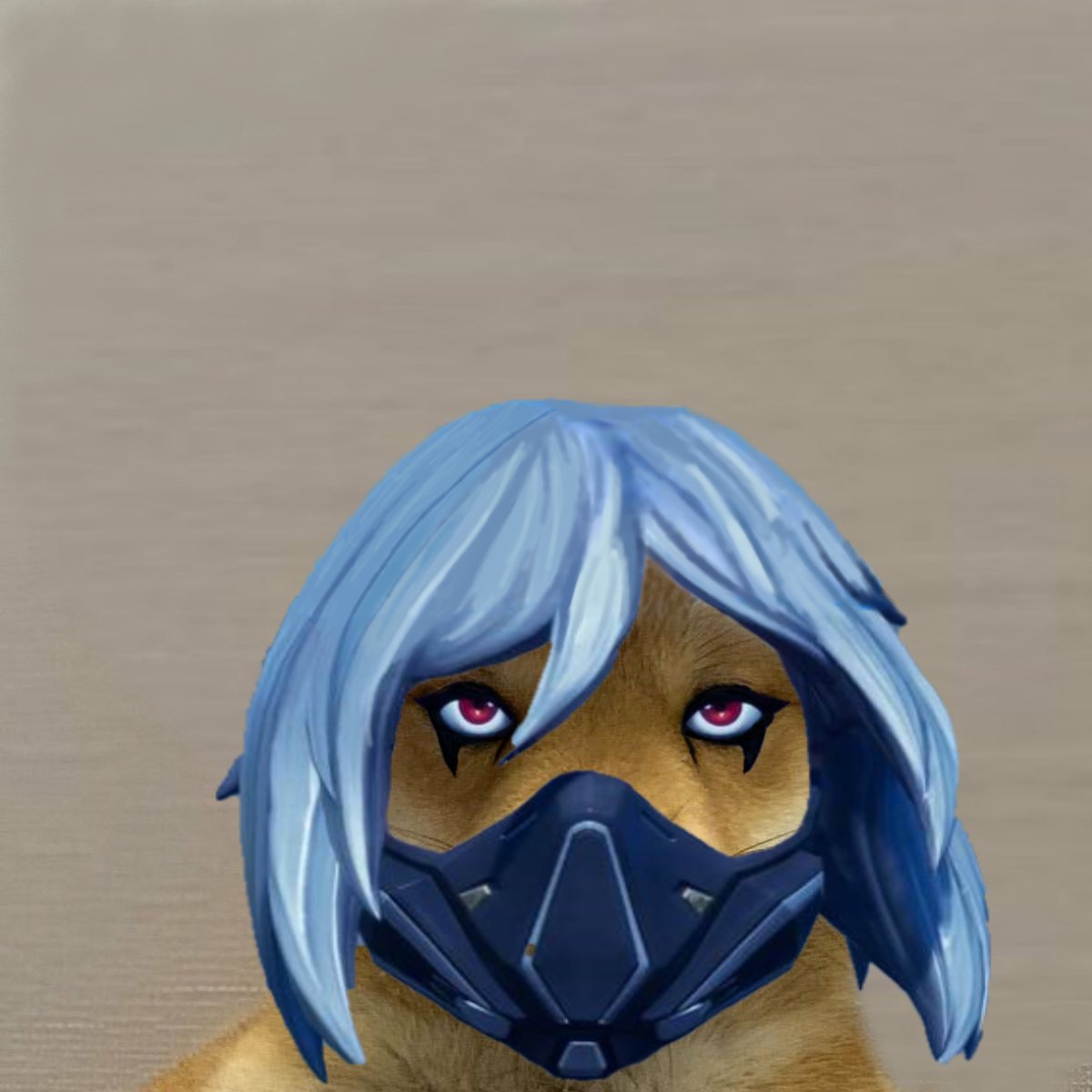 Zaycent's tweet image. #dogwifhat