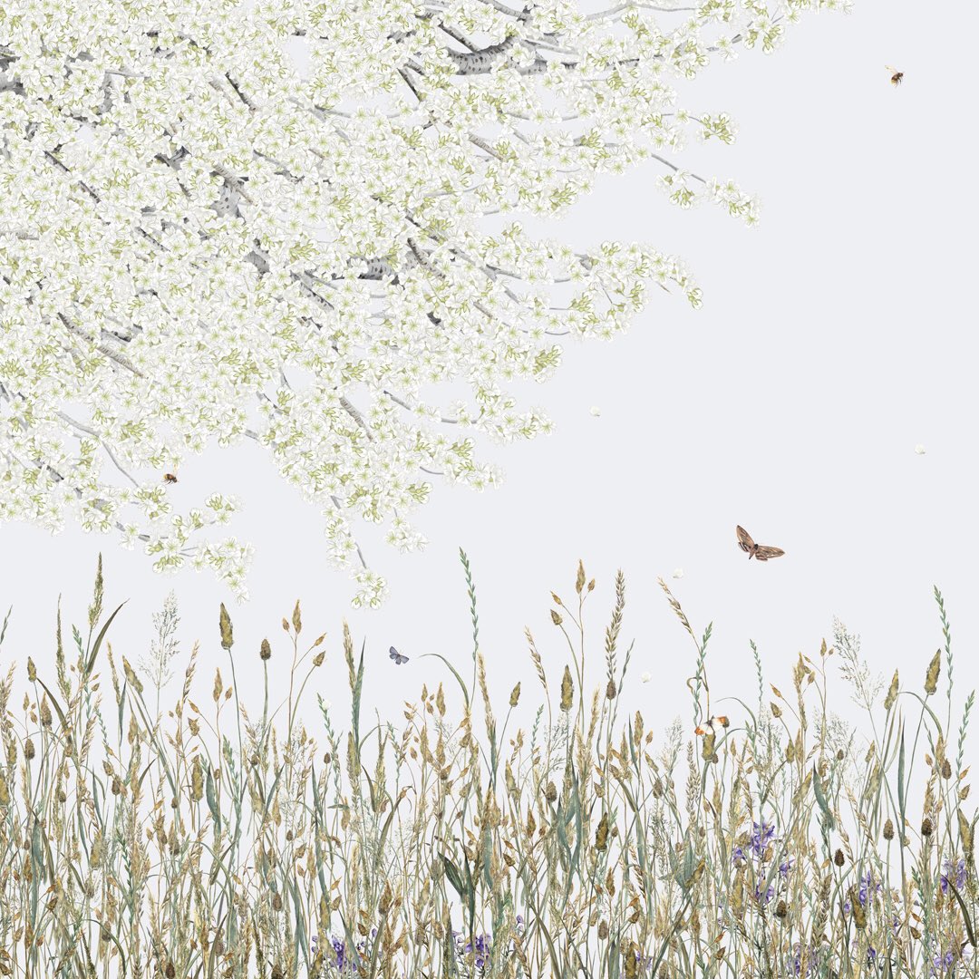 Alison O'Toole tweet media