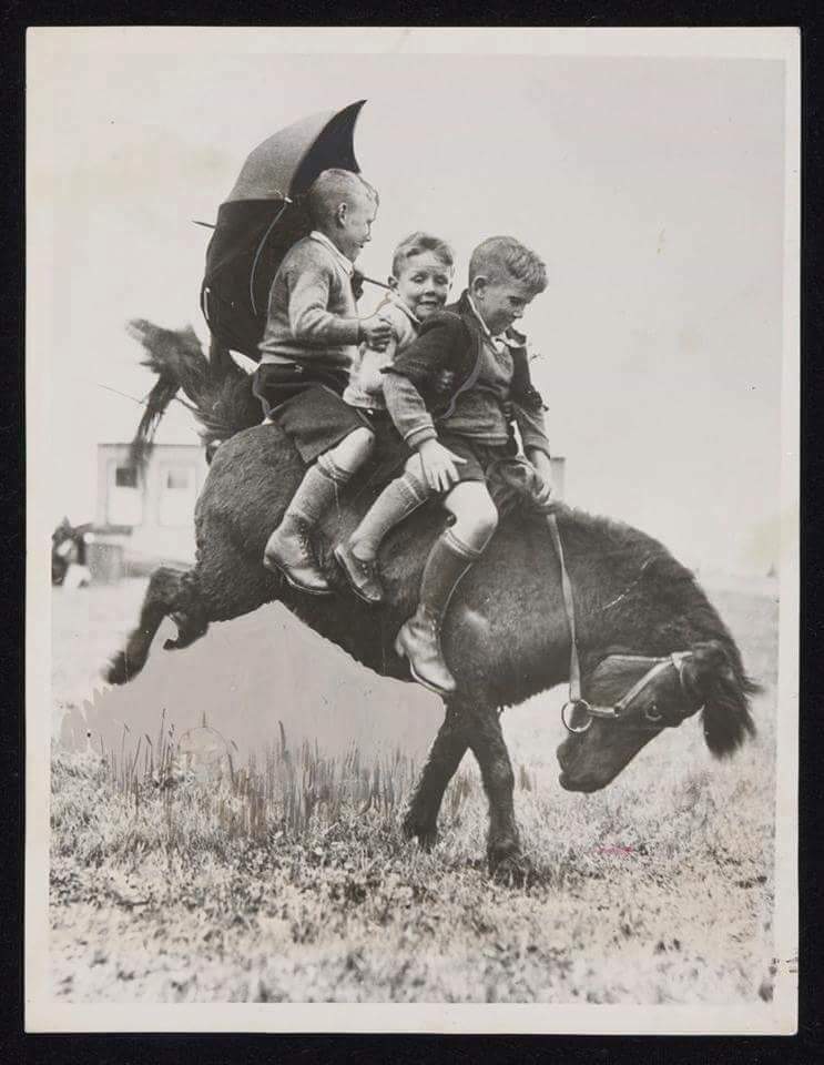 wolds_and's tweet photo. When kids were kids and ponies were ponies π #woldsequine
https://t.co/F6GwWAY7CS https://t.co/eeO42RpRjc