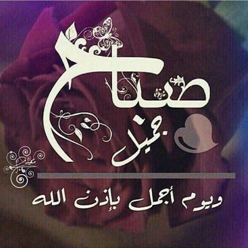 DosriHla's tweet photo. أشرقت أنوار الصّباح.. وفتحت النّوافذ فقبّلتني الشّمس بأشعّتها الذهبيّة.. فأحسست بأنّها ألقت عليّ بظلالها أنواراً من الأمل والتفاؤل بنهار إن شاء الله يكون جميلاّ ومشرقاّ.

 #صباح_الخير https://t.co/uQUqMUmxrw