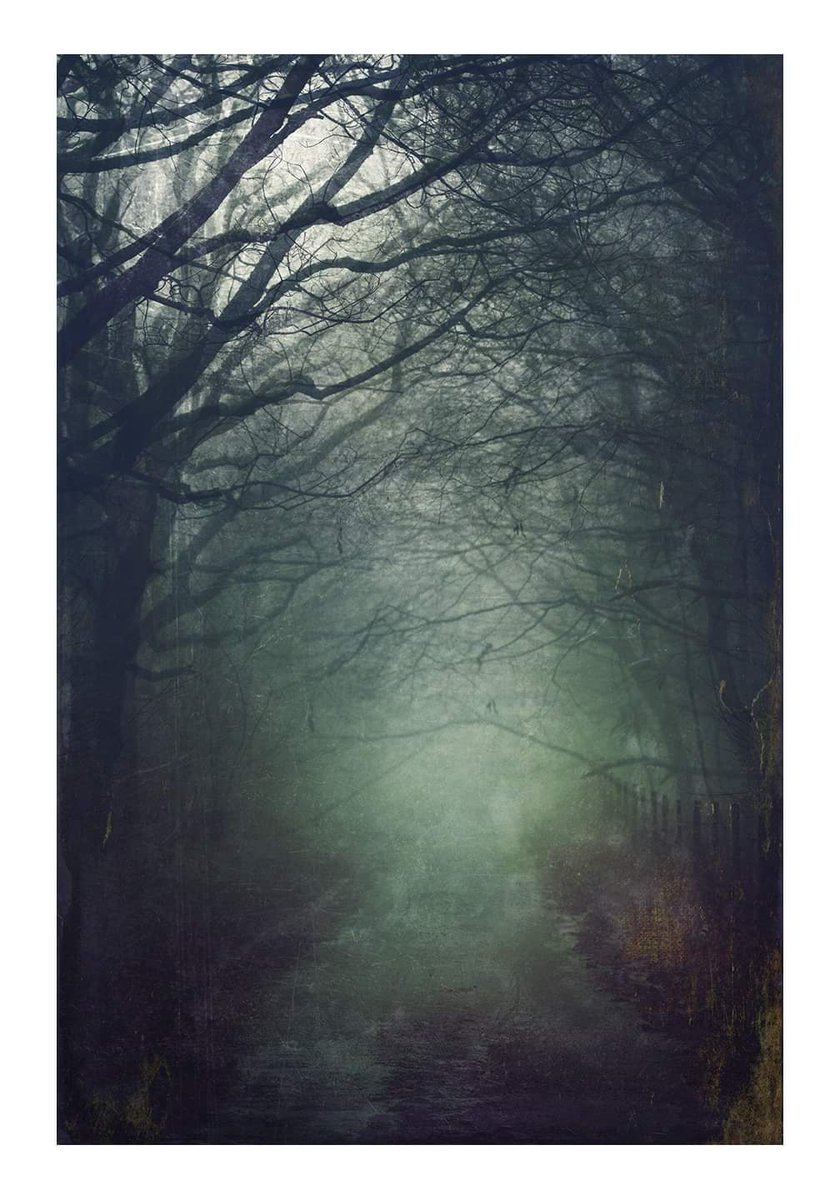 The road through Delcombe woods. #Sharemondays2019