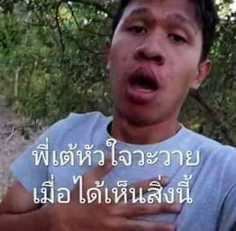 เจษฎา tweet media