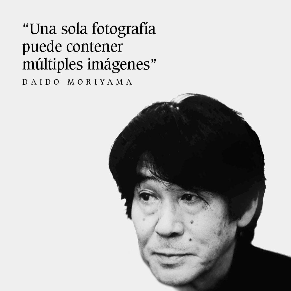 #daidomoriyama #quote