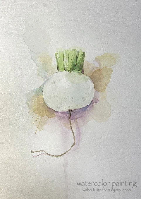 冬野菜と言えばかぶら。かわいい形^ ^ #Watercolor #スケッチ #水彩画 #ワークショップ #京都の絵画教室 #風景画 #透明水彩 #京都水彩画塾 