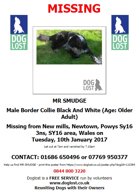 gelert01's tweet photo. Its Collies Monday! 

The Month : January 

The Year : 2017 

#BEN #MrSMUDGE #SHUCK all still missing 

@rosiedoc666 @RachaelB100 @ChrstinaKelly @veryluckypugs @blacklab115 @PawsOutandAbout @Lorrain90964806 @bs2510 @colliesontherun @BlueFrenchie1 @bunnylondon39 @blrhc @PbPammie https://t.co/jmqSSj0Opb