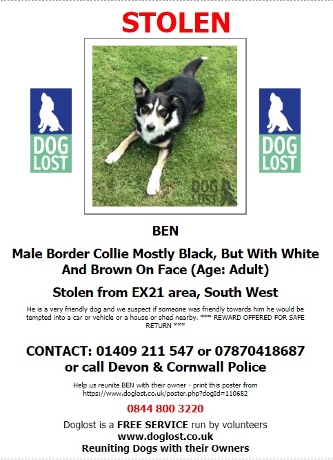 gelert01's tweet photo. Its Collies Monday! 

The Month : January 

The Year : 2017 

#BEN #MrSMUDGE #SHUCK all still missing 

@rosiedoc666 @RachaelB100 @ChrstinaKelly @veryluckypugs @blacklab115 @PawsOutandAbout @Lorrain90964806 @bs2510 @colliesontherun @BlueFrenchie1 @bunnylondon39 @blrhc @PbPammie https://t.co/jmqSSj0Opb