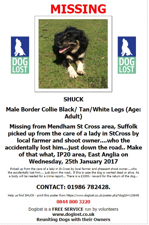 gelert01's tweet photo. Its Collies Monday! 

The Month : January 

The Year : 2017 

#BEN #MrSMUDGE #SHUCK all still missing 

@rosiedoc666 @RachaelB100 @ChrstinaKelly @veryluckypugs @blacklab115 @PawsOutandAbout @Lorrain90964806 @bs2510 @colliesontherun @BlueFrenchie1 @bunnylondon39 @blrhc @PbPammie https://t.co/jmqSSj0Opb