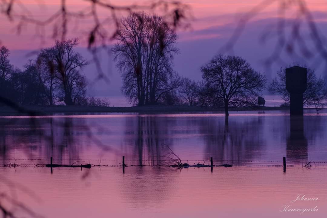 JohKraw's tweet photo. Lever du jour givré sur la Loire #ingrandeslefresnesurloire https://t.co/llVoL2H55m