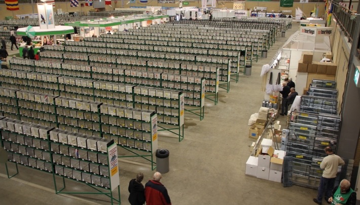 VOGEL 2020 dit jaar in #IJsselhallen Zwolle  events.nl/nieuws/vogel-2… #VOGEL2020 <a href="/IJsselhallen/">IJsselhallen</a> <a href="/Libema/">Libéma</a> <a href="/Libemalocaties/">Libemalocaties</a> #Events_NL