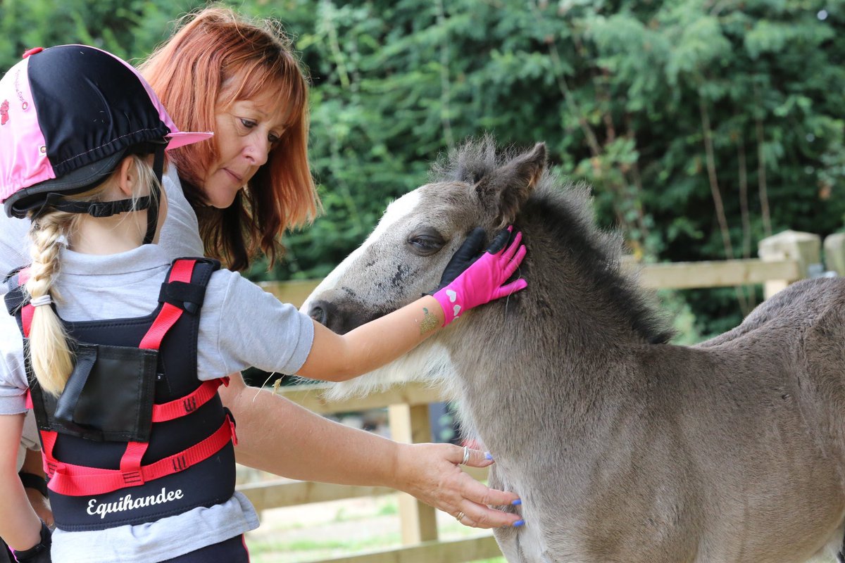 equihandee's tweet photo. Riding comes with so many benefits for children, it enables them to improve coordination, increases socialisation and works on muscle,  but also increases the range of mobility in joints, and aids in motor planning
#improvescirculation #mobilityinjoints #socialisation #disability https://t.co/8efweqhHCS