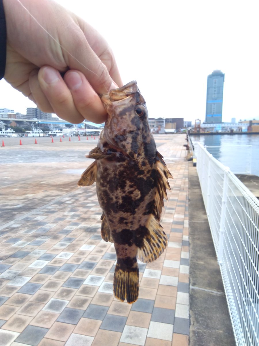 博多湾奥