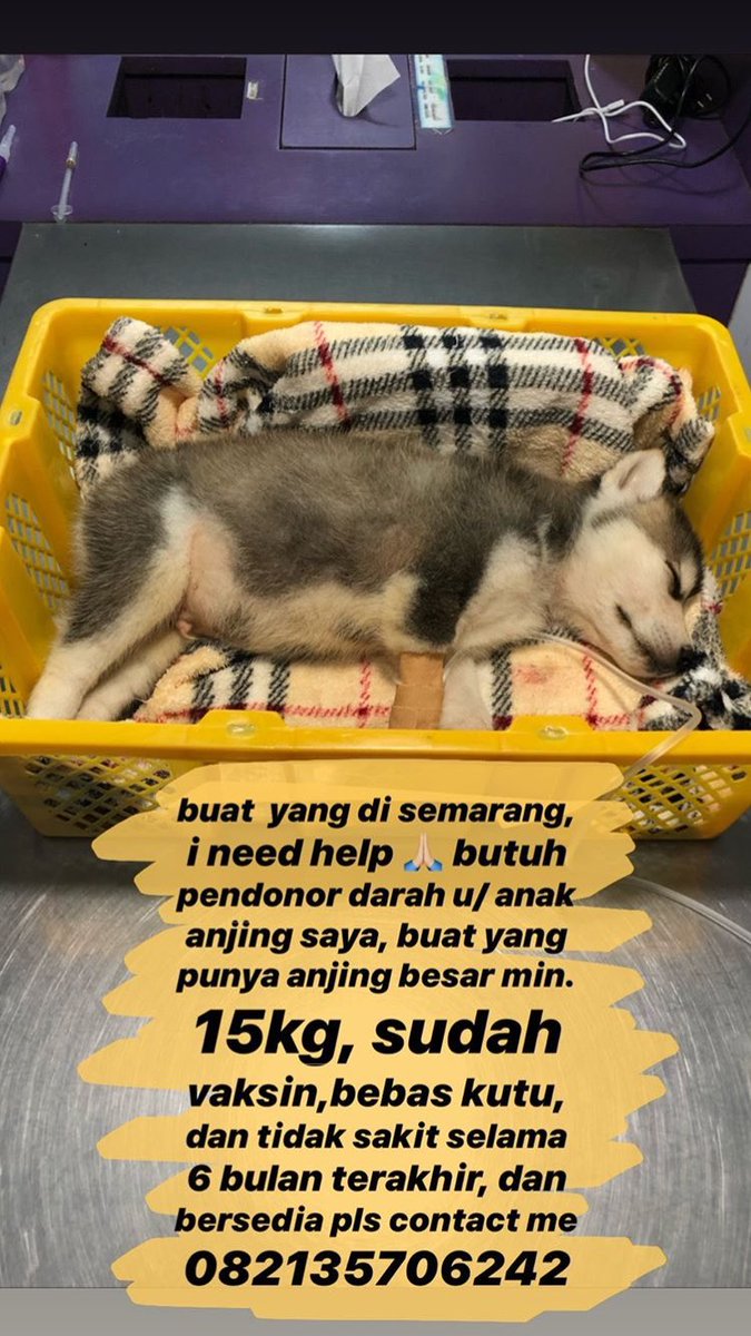 Twitter... please do your magic..
Please help, terutama yg di domisil di Semarang 🙏🏻 thankyou