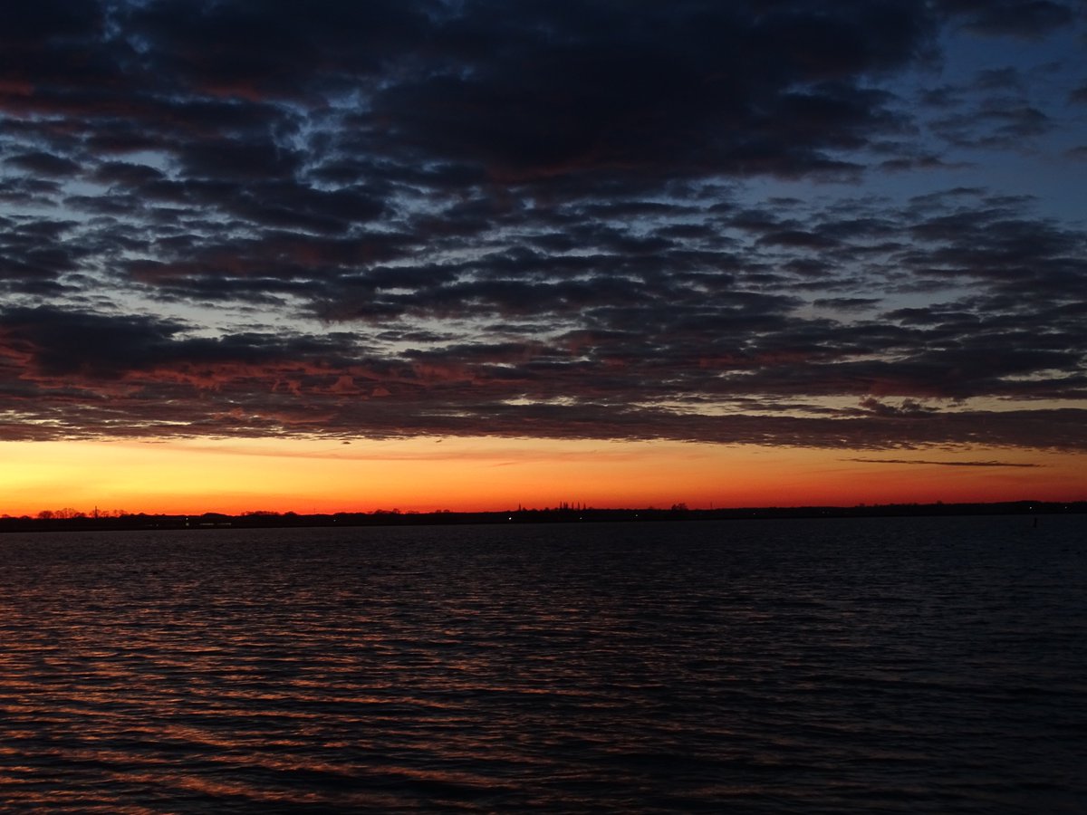 Anja Dijkstra tweet media