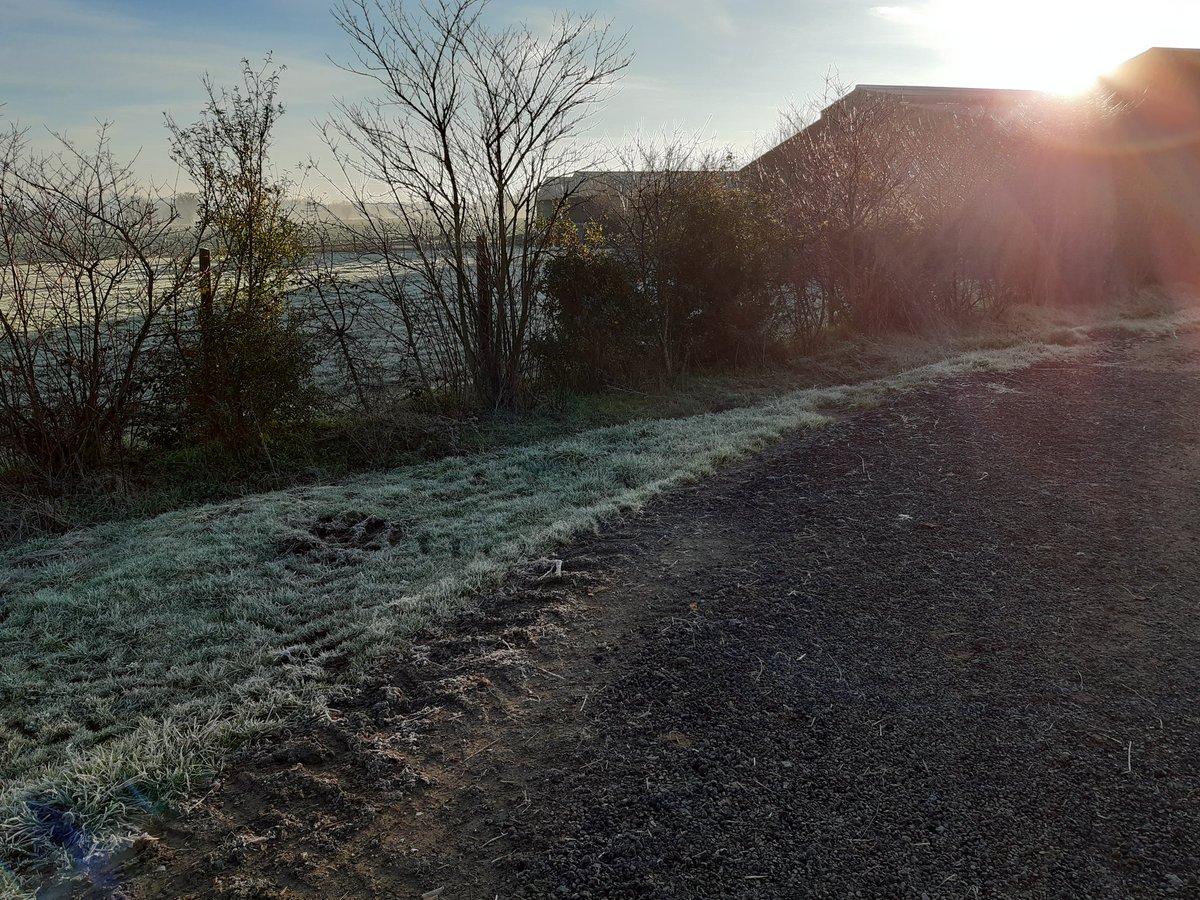 Un matin comme on les aime, un jour d'hiver qui blanchit la végétation et le doux soleil qui caresse la nature
La campagne et ses paysages...
La campagne et ses odeurs... 
La campagne et ses bruits...
La campagne et ses agriculteurs😉
La campagne #JusteEtVendéen 
Cc <a href="/voineaug85d/">Guillaume VOINEAU</a>