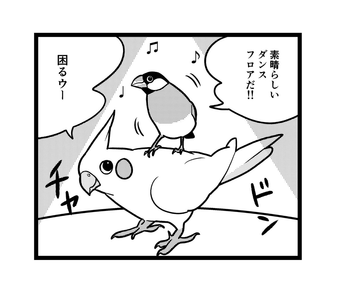 この前見た光景

#一コマ文鳥 #文鳥 #オカメインコ 