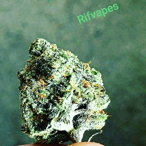 Rif Vapes (@rifvapes) on Twitter photo 