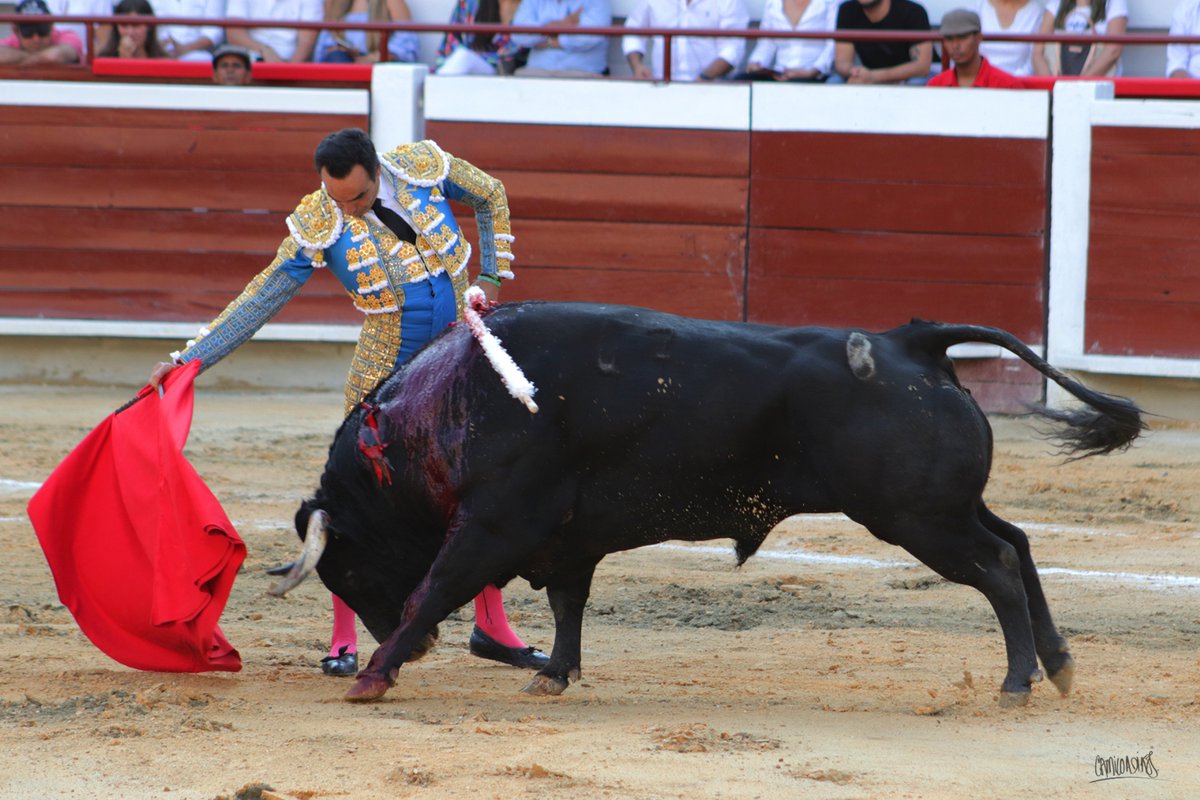 Prensa El CID tweet media