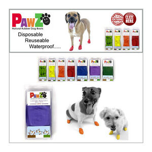 pawz coupons
