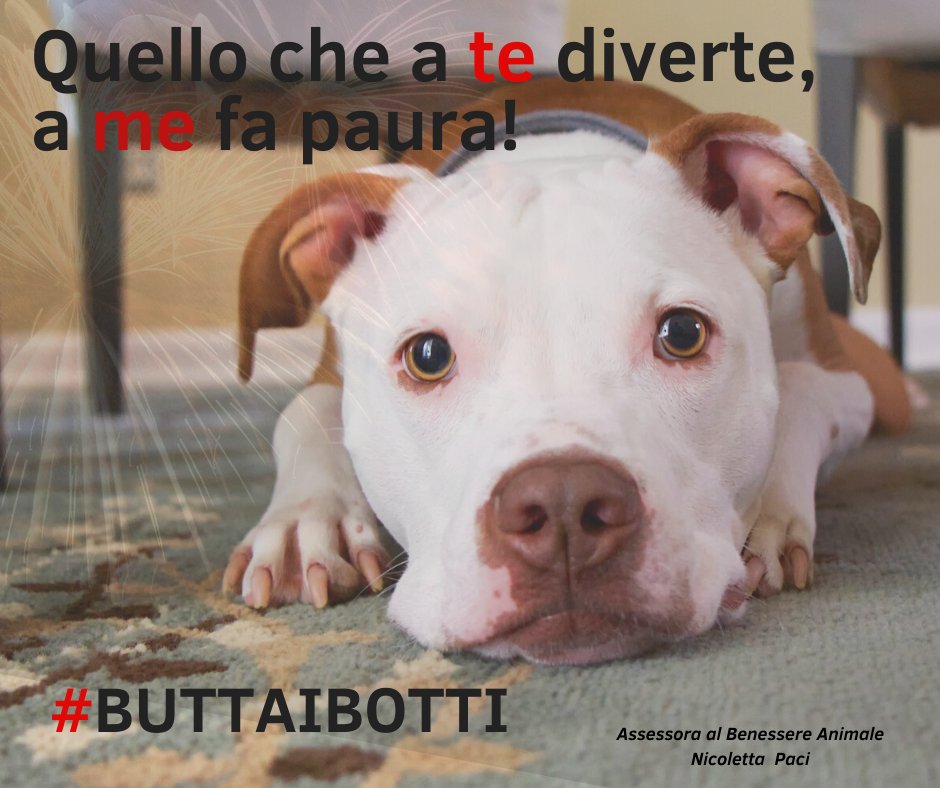 ComuneParma's tweet photo. Dal 2018 #Parma vieta con un articolo di regolamento di Polizia Locale l'utilizzo di petardi rumorosi a #Capodanno. Rispettiamo gli animali che vivono nella nostra città. Divertiamoci senza impaurire nessuno! Buon 2020 a tutti! https://t.co/TGLaupd3TV