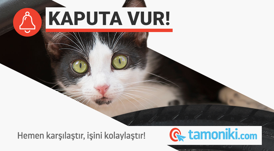 Tamonikicom's tweet photo. Bu soğuk günlerde sokak hayvanları rüzgardan korunmak için kaputun içine girmiş olabilir. Onlar yaşamayı hak ediyor; aracını çalıştırmadan önce kaputa vurmayı ihmal etme! 😺

#TamonikidenDuy #KaputaVur https://t.co/iFCB47WKeh