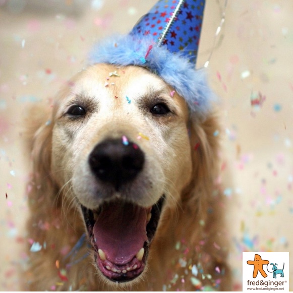 FredGingerpet's tweet photo. Treat your pooch this New Year with our Fred &amp; Ginger Squeaky Duck Dog Toy! Exclusively available at @jlandpartners. We hope you have a wonderful New Year, from all at Fred &amp; Ginger.

Buy Now! https://t.co/nWteKhfZ96 https://t.co/YJP1v8DJIN
