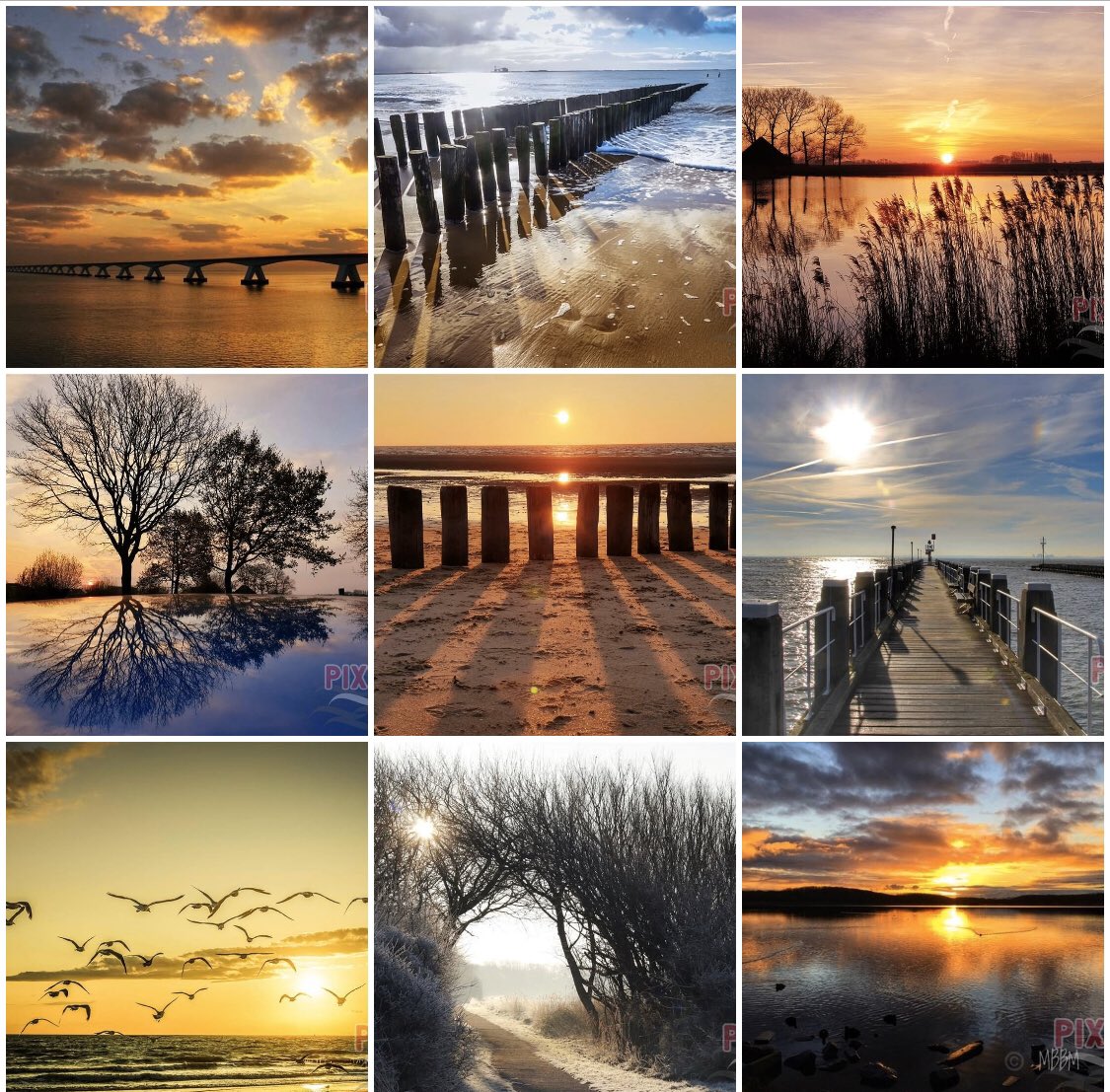 Best 9 van #PIXZ 2020! Het beste voor jou met veel gezondheid én veel goeds 🥂💛!  

PIXZ.nl 📲 

#PIXZeeland #Bestof2019 #Bestewensen2020 #ZeelandApp #Genieten #🌊