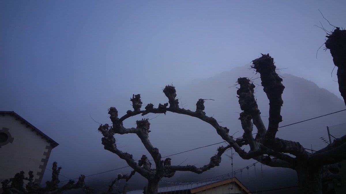 udac78's tweet photo. Niebla esta mañana por dónde no acostumbramos: #Lafortunada y #Badaín.
Incluso ha cruzado las #Devotas.
Fotos Avi, Miquele, Presi.
@eltiempo_atv @AEMET_Aragon @meteo_aragon @MeteoPirineosAr https://t.co/9QaoOgYghP