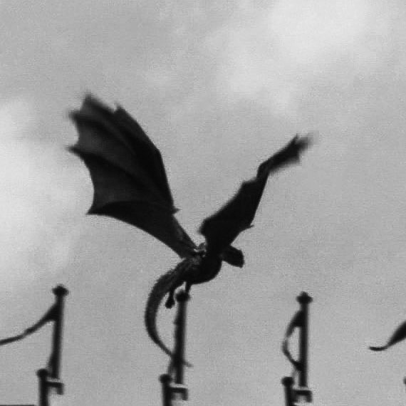 ASOlAFdany's tweet photo. she wished that, taking wing like a bird, she could fly somewhere, far away to regions of purity, and there grow young again. 
—gustave flaubert https://t.co/D9YX16VL7j