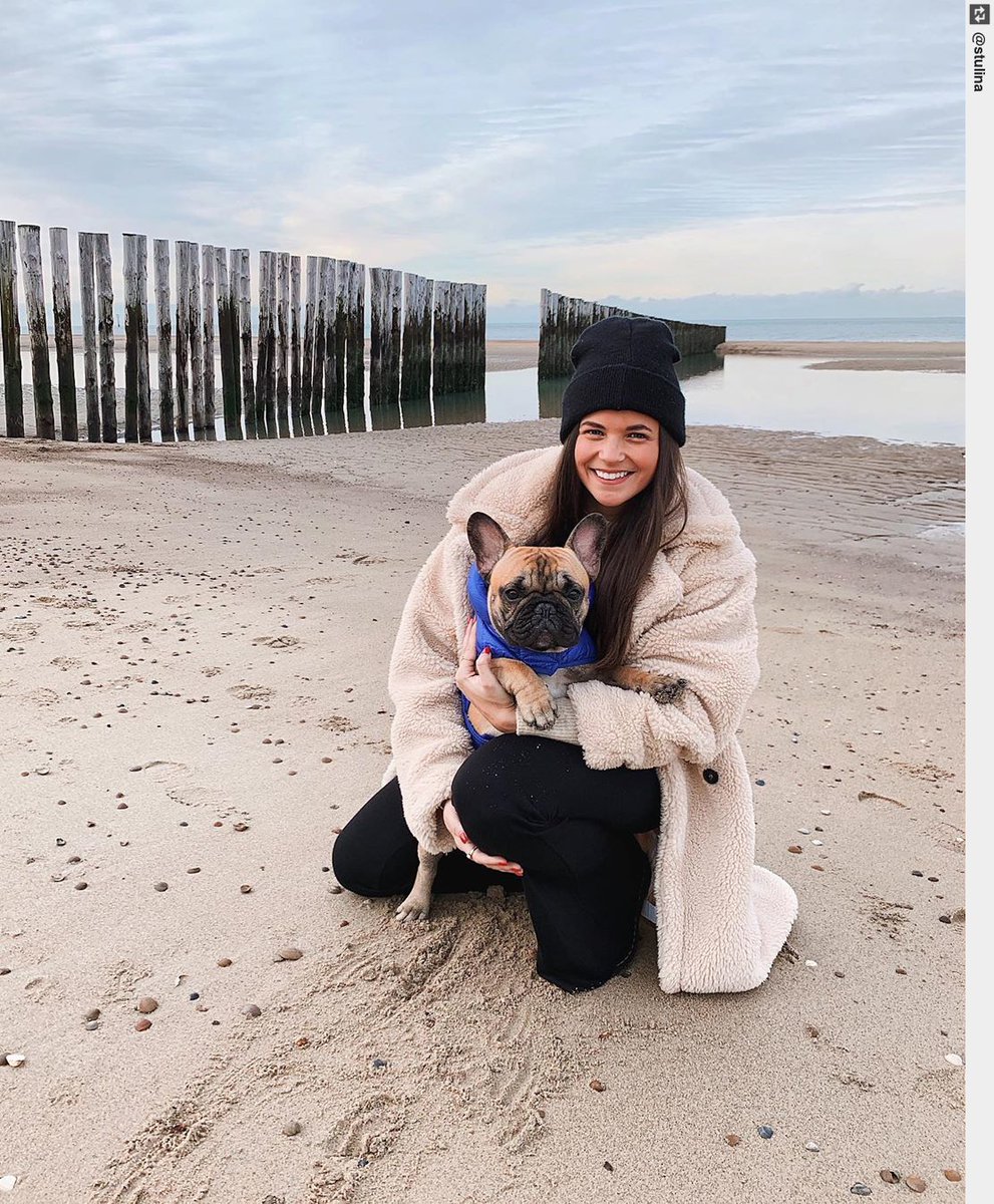 IngloriousDogs's tweet photo. Cuddle time with my baby!🐶 #stulina #mrbailey #ourbaby #puppy #puppylove #dogsofinstagram https://t.co/zKr5s8JCgp
