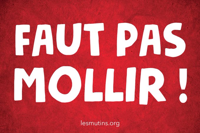 Voir l'image sur Twitter