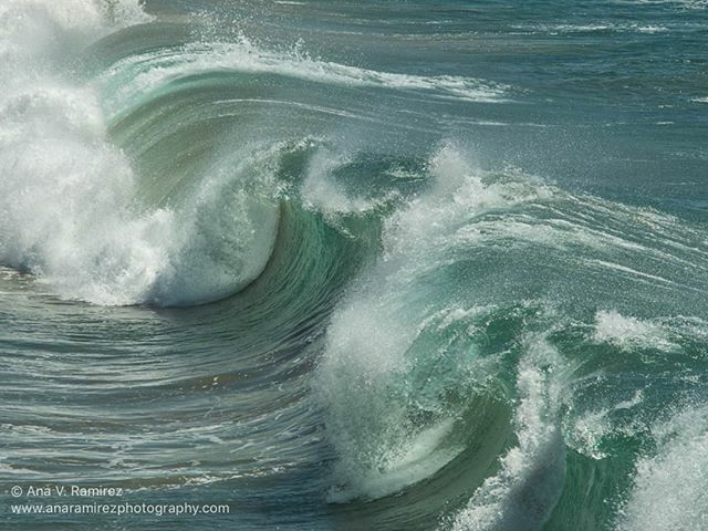 At work... in a cubicle... no windows... but with #waves and #sunshine on my mind 🏖️🌊😊⁠
#ocean #photography #coastalliving #beachdecor⁠
Click the link in my bio to get sunny vibes for your space! ift.tt/35fkmes
