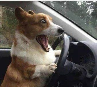 teachergoals's tweet photo. When you get to go out in public during the day--during the week
#winterbreakgoals https://t.co/u9SDkDSvZS